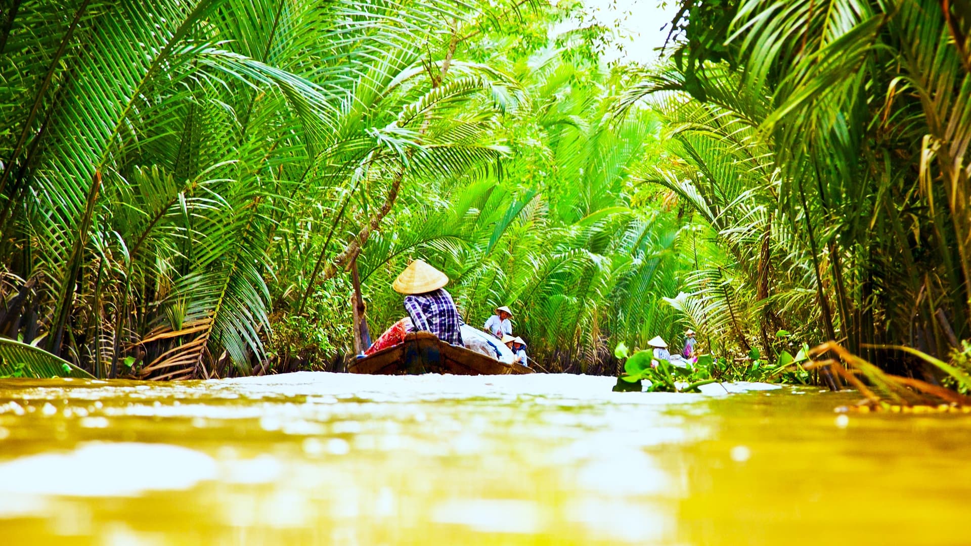 Sur y delta del Mekong