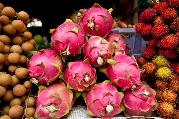 Descubrir los sabores frutales y vitaminados de Cambodge