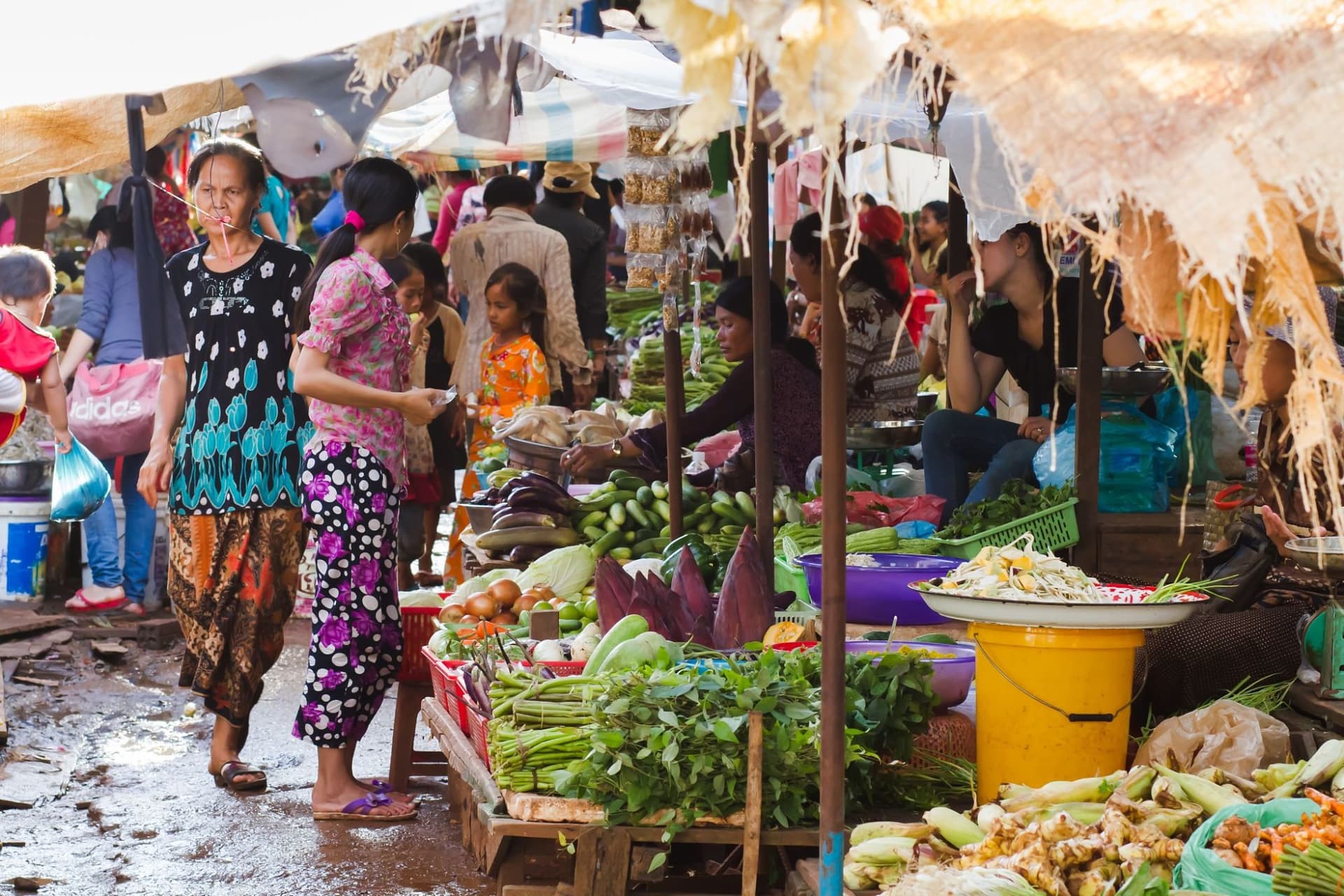 Cambodge continúa avanzando en desarrollo humano