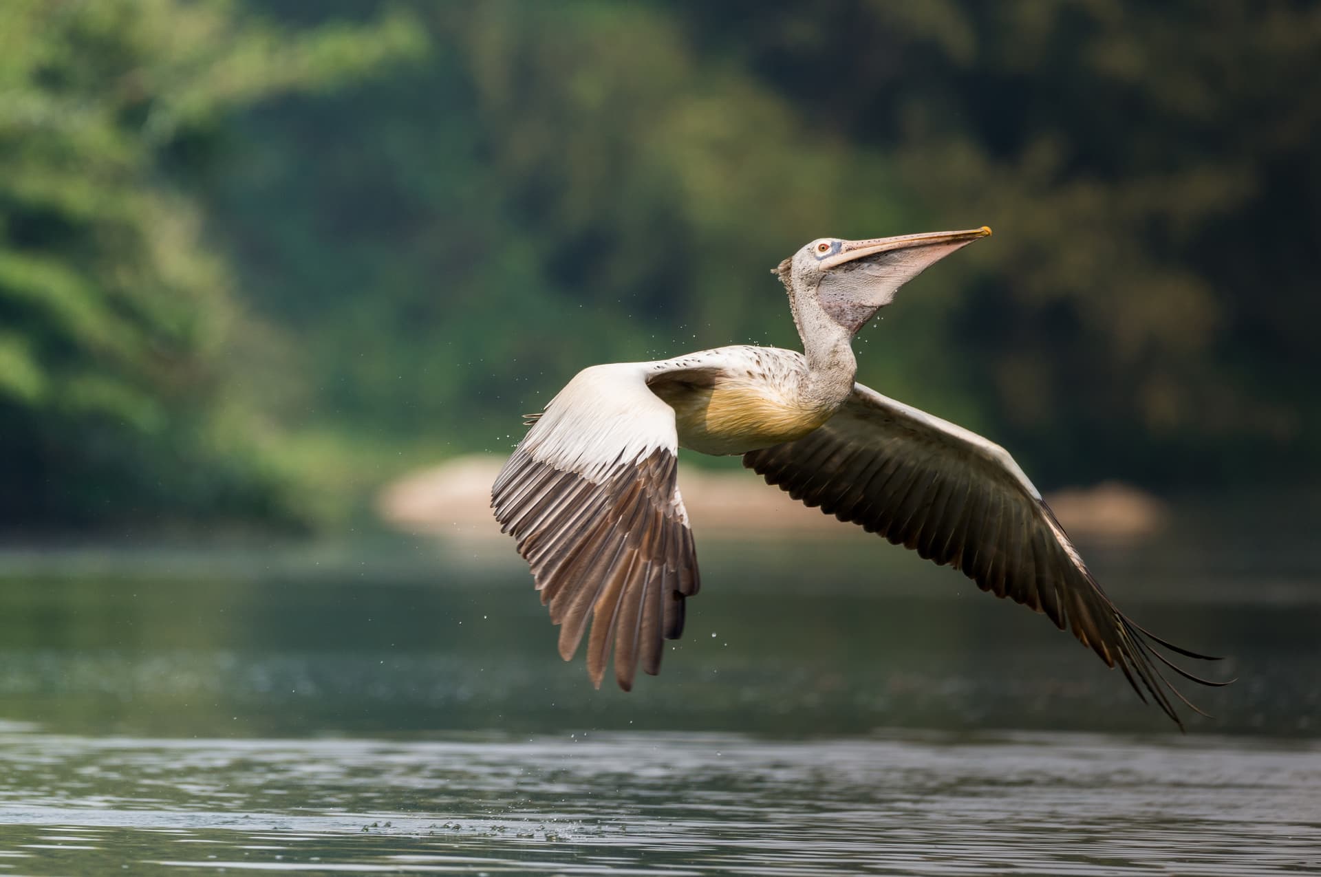 El vuelo hacia Boeng Peariang