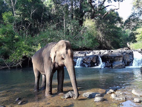 Mondulkiri: una región de Cambodge que vale la pena visitar